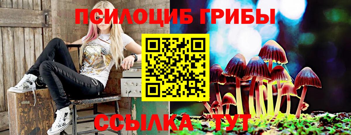 Учалы  Галлюциногенные грибы Psilocybine cubensis  Вход с VPN 